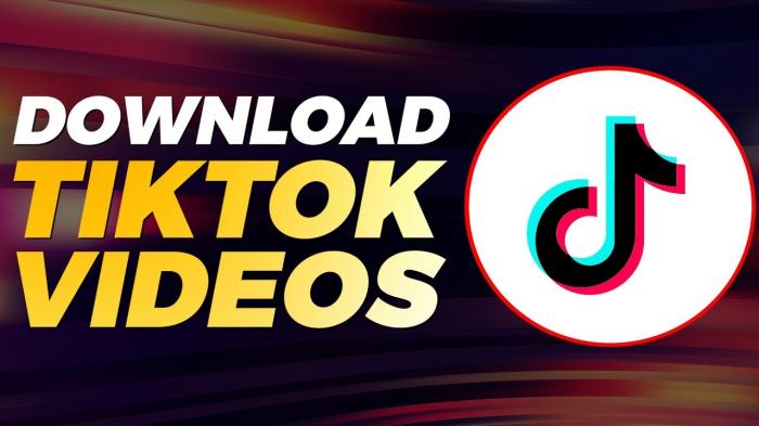 TikTok zu MP3: TikTok Downloader
